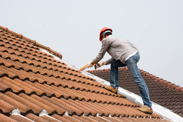 Best Roof Insulation Installation  in Elgin, TX